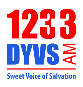 DYVS Logo